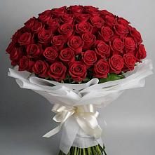 Букет 101 Красная роза Блэк Мэджик в Восходе Республики Крым