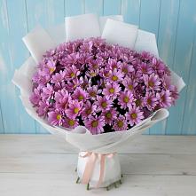 Букет цветов из:  Хризантемы в Восходе Республики Крым