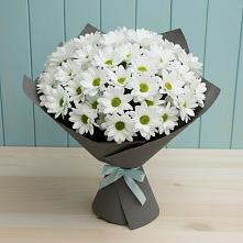 Букет цветов из:  Хризантемы в Восходе Республики Крым