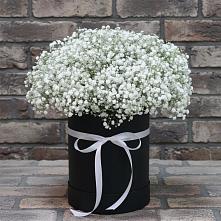 Цветочная композиция из Гипсофила в шляпной коробке в Восходе Республики Крым