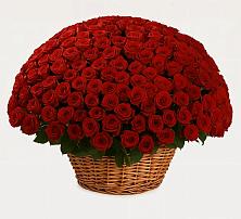 Премиум букет из: Розы в Восходе Республики Крым